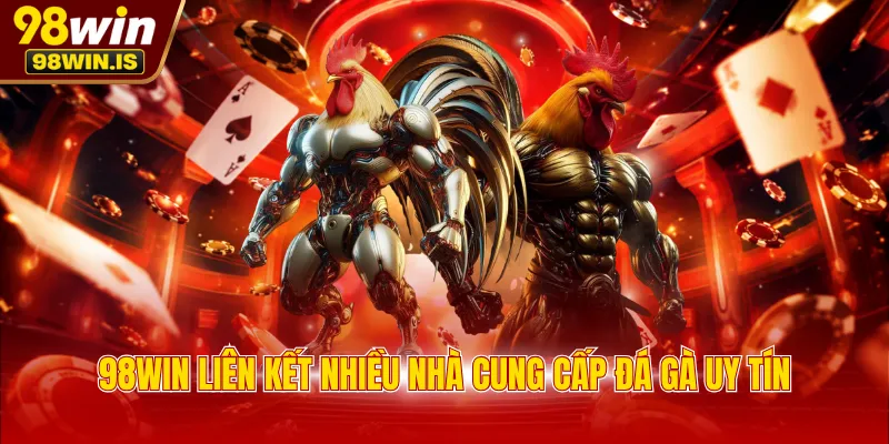 98win lien ket nhieu nha cung cap da ga uy tin 98WIN liên kết nhiều nhà cung cấp đá gà uy tín