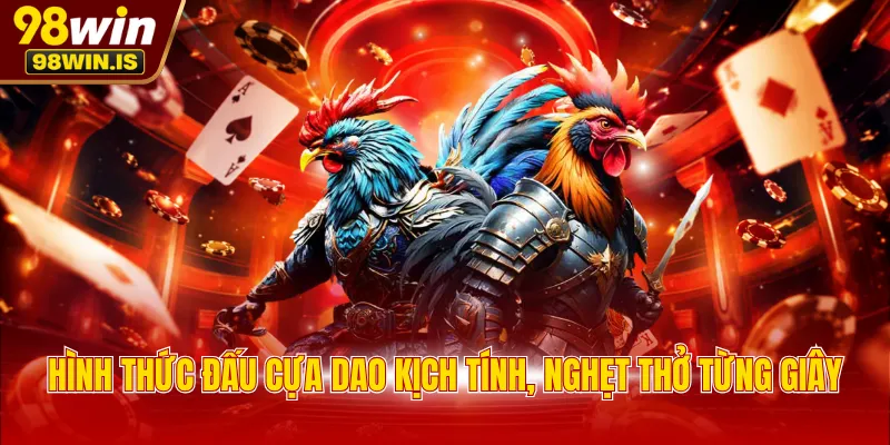 hinh thuc dau cua dao kich tinh nghet tho tung giay Hình thức đấu cựa dao kịch tính, nghẹt thở từng giây